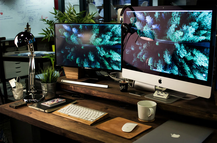 Web Development